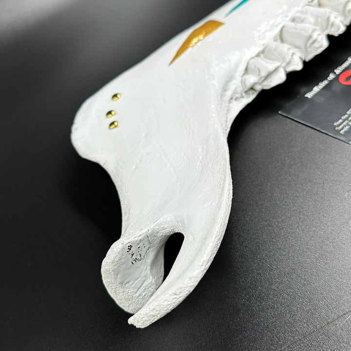 Buffalo of Abundance #15 - BThunder