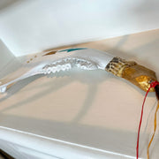 Buffalo of Abundance #15 - BThunder