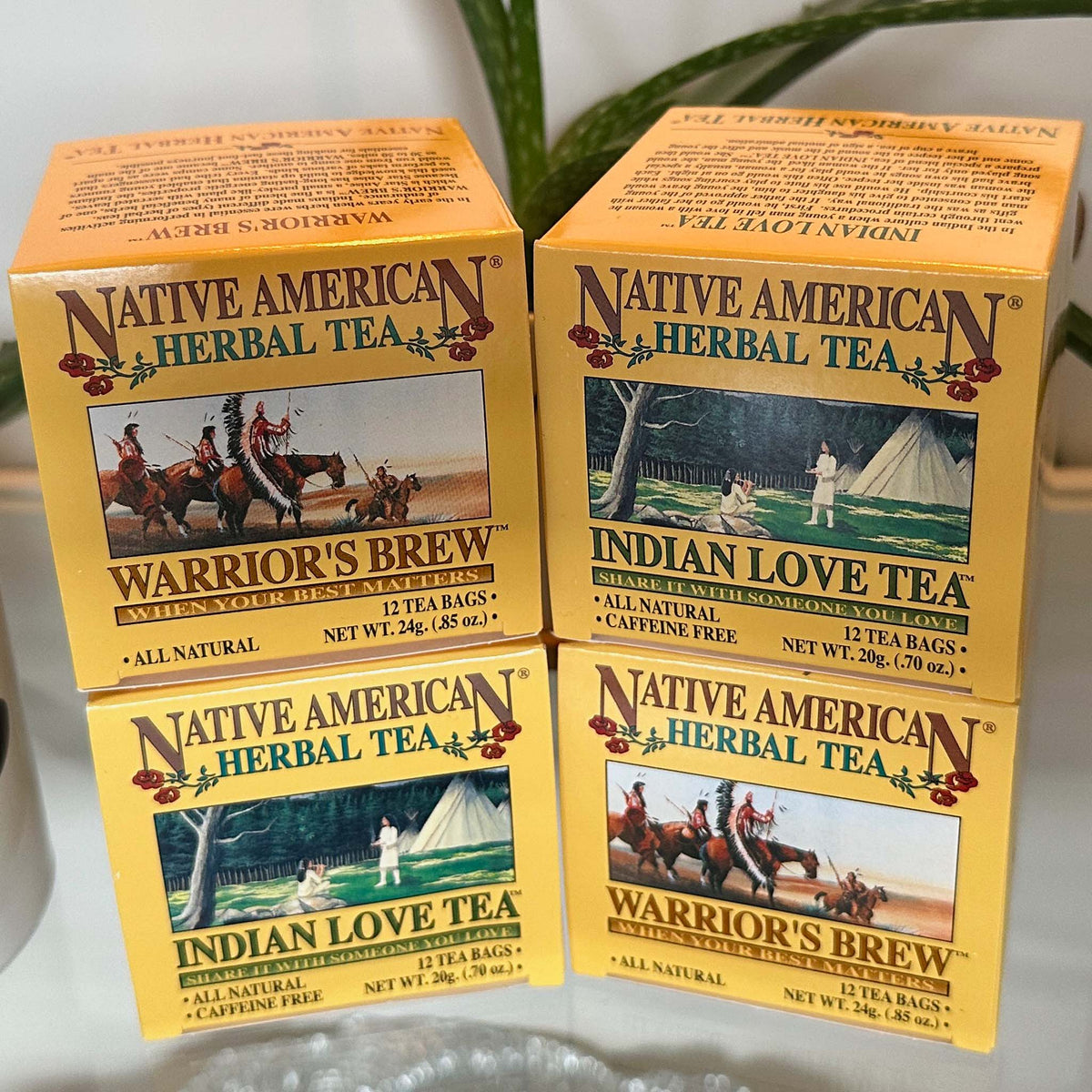 Native Microbe Tea Native American Herbal Teas – BThunder